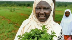 Mali - Aissata-Kayentao-of-Sikasso-Mali-agricultural-engineer-and-project-facilitator-Credit-Nicolas-Montibert