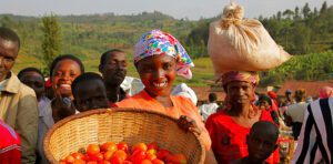 Femmes portant un panier de tomates | Women carrying a basket of tomatoes
