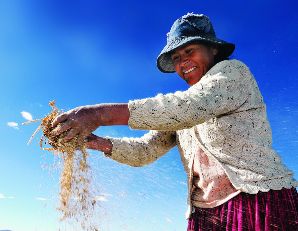Bolivie - femme qui sème