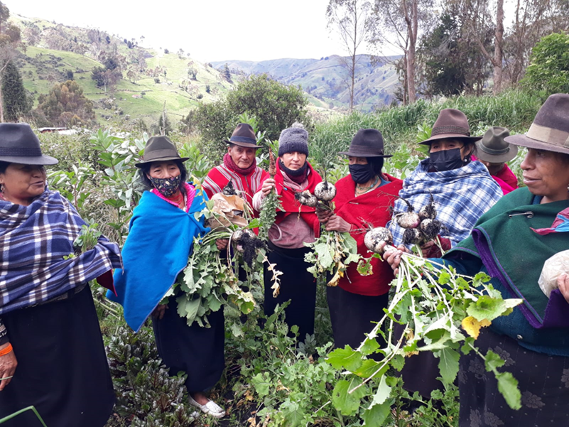 Atelier pratique sur l’agroécologie dans la communauté de Cajabamba.