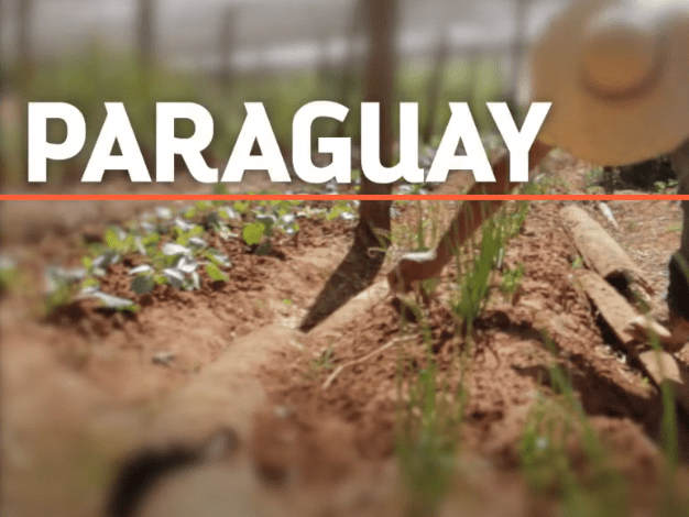 Video thumbnail: At the heart of the action : Paraguay | Image de la vidéo : Au coeur de l'action : Paraguay
