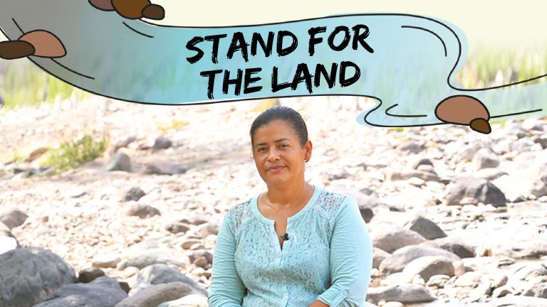 Stand for the Land promo poster