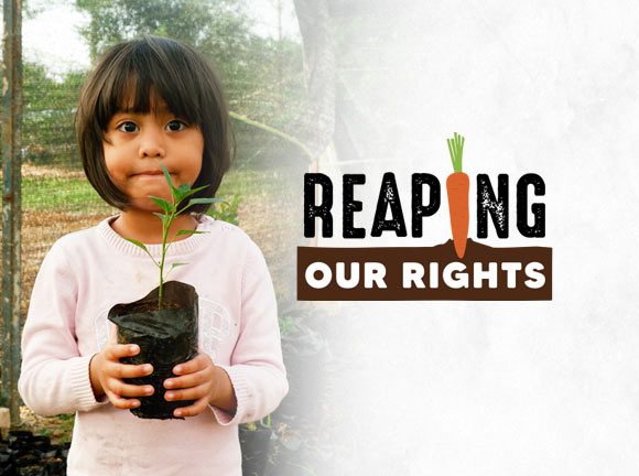 Banner of the Share Lent campaign Reaping our rights