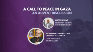 Banner webinar Peace for Gaza