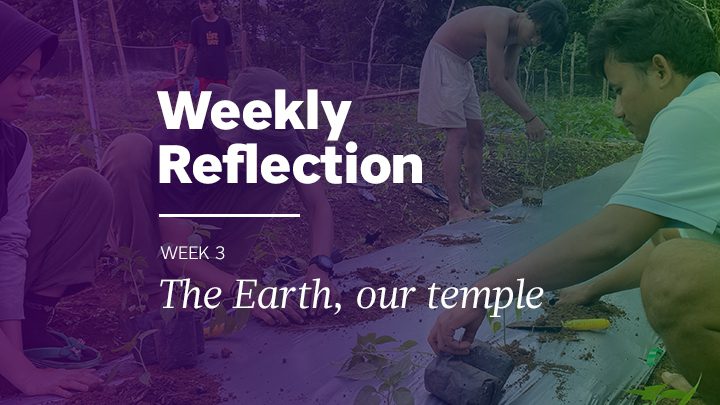 Weekly reflection image
