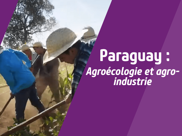 Image de la vidéo : Paraguay Agroécologie et agro-industrie