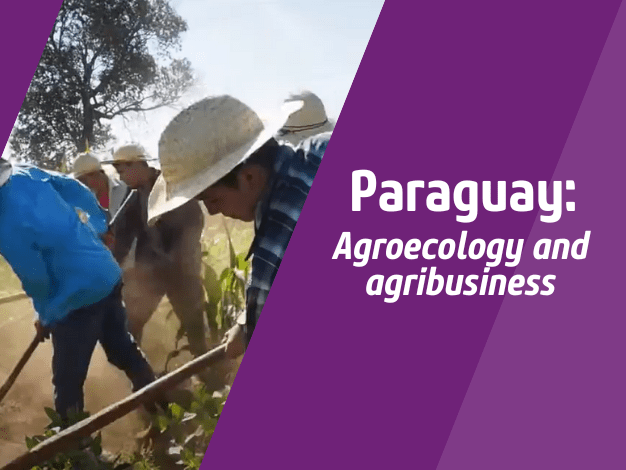 Video image: Paraguay Agroecology and agribusiness