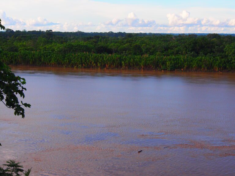 La rivière Tambopata