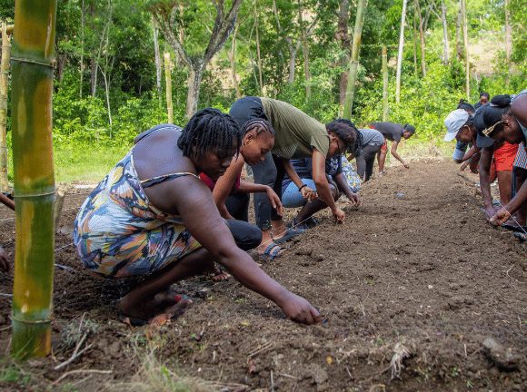 Haiti-Report-Bilan2021-2026