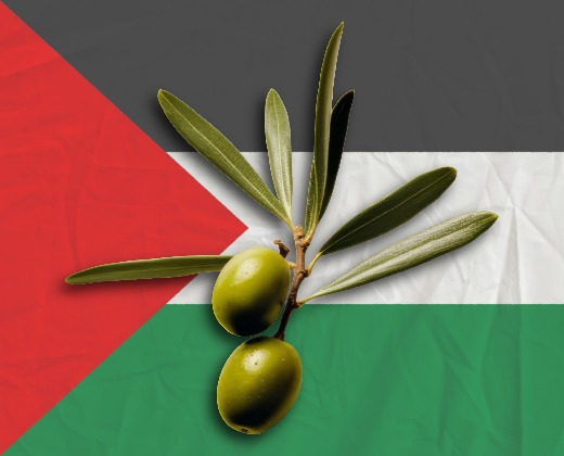 Taybeh oilves