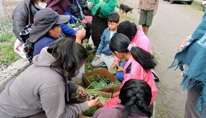 Participation des enfants aux activités d’agriculture (remise de plantules pour les jardins familiaux).