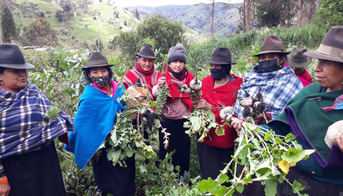 Atelier pratique sur l’agroécologie dans la communauté de Cajabamba.