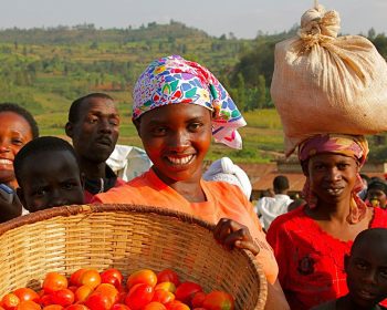 Femmes portant un panier de tomates | Women carrying a basket of tomatoes